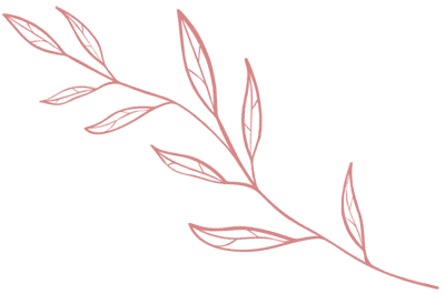 Icon Phytohormone Icon Phytohormone